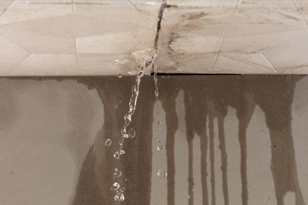 Professional Water Damage Repair technician working in Springfield, MA